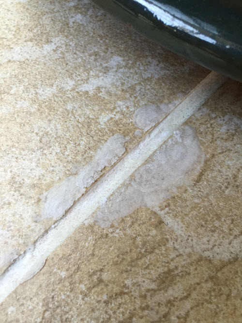 Understanding Efflorescence aka that Ugly White Powder on Your Tile